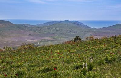 Прикрепленное изображение: IMG_8109.jpg